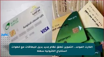 الكارت الموحد.. التموين تطلق نظام جديد بديل للبطاقات مع خطوات استخراج إلكترونية سهلة